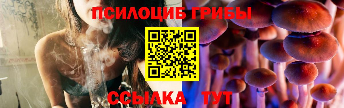 Верхний Уфалей  закладки  Вход с VPN  Псилоцибиновые грибы ЛСД  Галлюциногенные грибы Psilocybine cubensis 